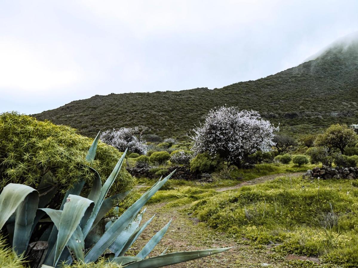 Luxury Villa In Nature With Swimming Pool Tenerife, Santiago Del Teide, With Sea And Mountain Views El Retamar Εξωτερικό φωτογραφία