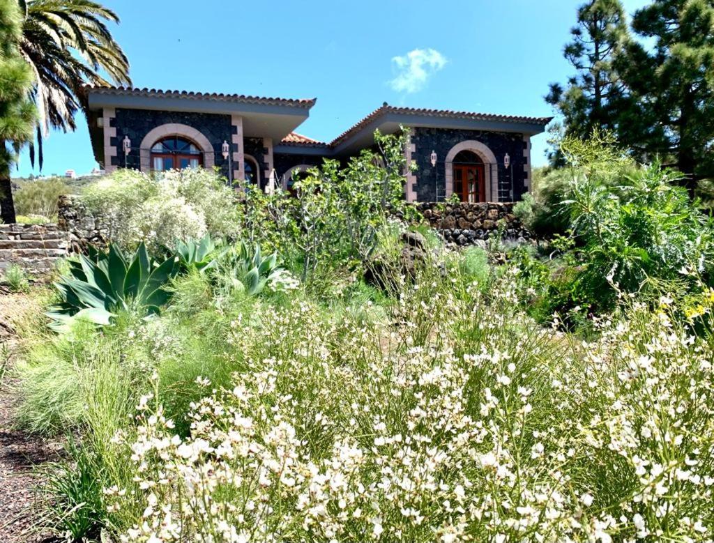 Luxury Villa In Nature With Swimming Pool Tenerife, Santiago Del Teide, With Sea And Mountain Views El Retamar Εξωτερικό φωτογραφία